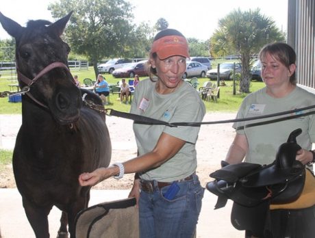 Special Equestrians of the Treasure Coast open house