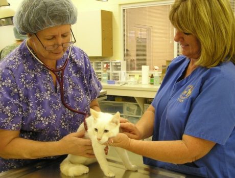 Humane Society to open animal wellness clinic Jan. 2