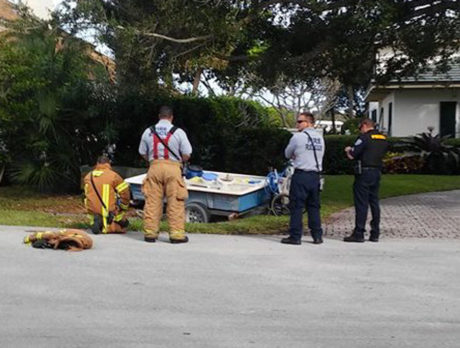 Trailer breaks free, hits utilities near A1A