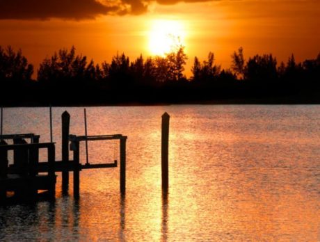 Florida environmental agency far behind curve on crisis facing lagoon