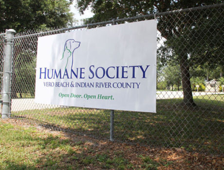 Humane Society Sebastian Thrift celebrates decade of sales