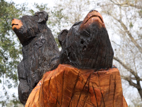 More tree stumps become works of chainsaw-carved art in Fellsmere
