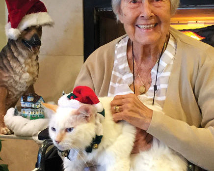 BONZ: How Max the cat became a Christmas Angel