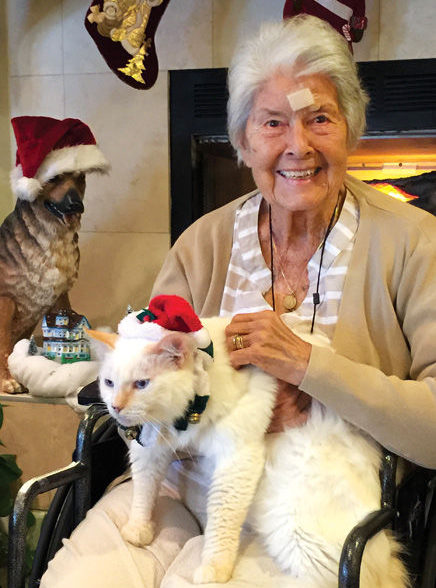 BONZ: How Max the cat became a Christmas Angel