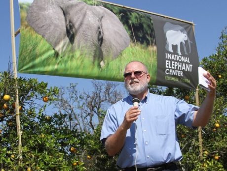 National Elephant Center in Fellsmere prepares for construction