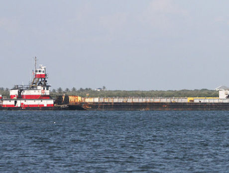 Heading south in the lagoon