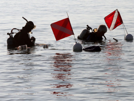 Beaches crawl with lobster hunters for mini-season