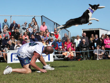 Riverside Park in Vero Beach goes to the dogs with ‘Bark in the Park’