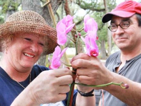 Gardenfest brightens yards, lives