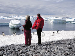 Traveled the world? Turn your sights toward Antarctica