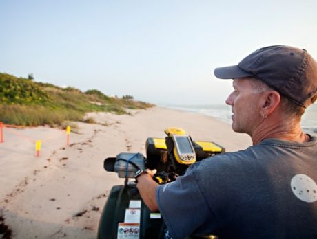 Surveying the State of Turtle Nests