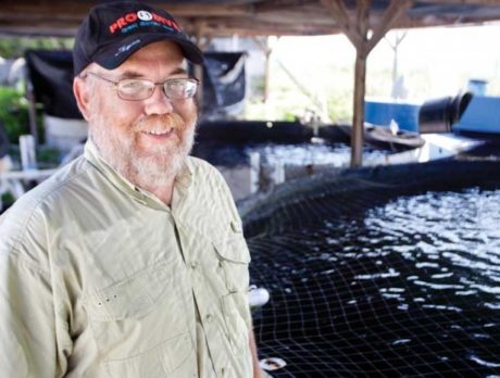 Vero Beach marine lab a player in lionfish battle