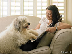 Conquer your canine cleaning challenges for a pet-friendly home