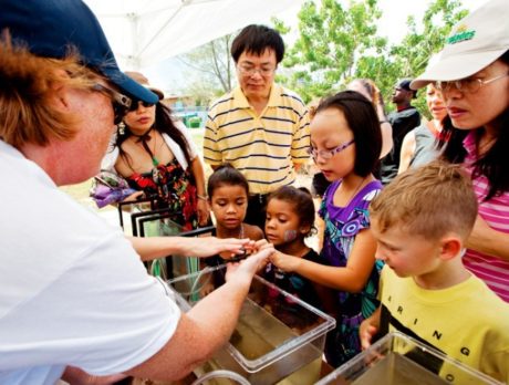 Lagoon Fest at Harbor Branch Oceanographic Institute