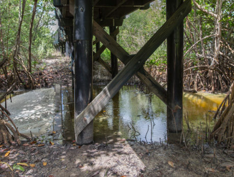 Environmentalists: Spoonbill Marsh a ‘toxic waste dump’