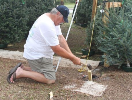 Fellsmere Christmas trees