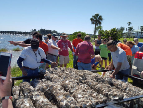 Scout’s tenacity keeps oyster project afloat