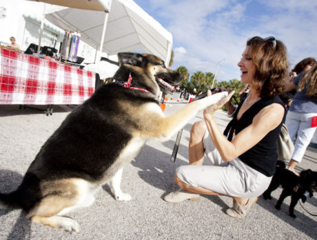 Puppy Love Parade