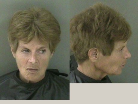 Fellsmere woman, 54, brandishes firearm to quiet neighbors