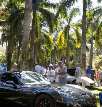 Corvette show at McKee Botanical Gardens