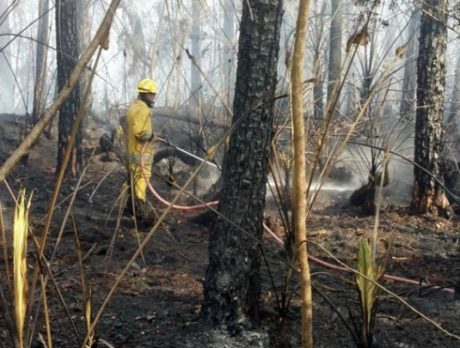 Twenty homes spared from brush fire