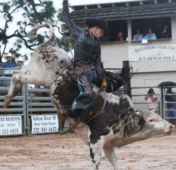 Bull Frog Bash Rodeo 2013