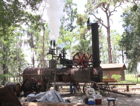 Antique steam-powered sawmill