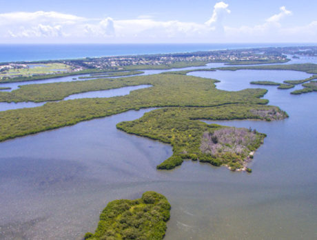 Pelican Island Refuge languishes in a strange obscurity