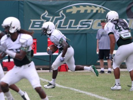 USF scrimmage at Vero Beach Sports Village