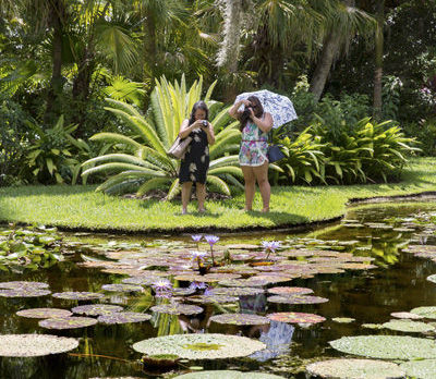 McKee’s Waterlily Festival lures hundreds of photographers