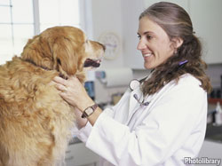 Help protect your pooch: Know the warning signs of oral cancer