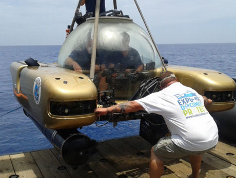 Mini-sub hunts for what’s left of coral reef