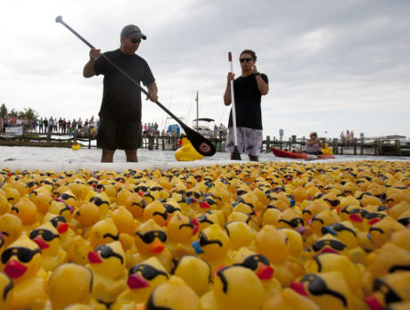 Great Duck Derby