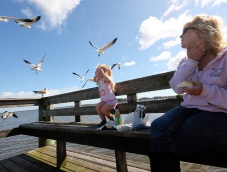 Lunch with the birds in Sebastian