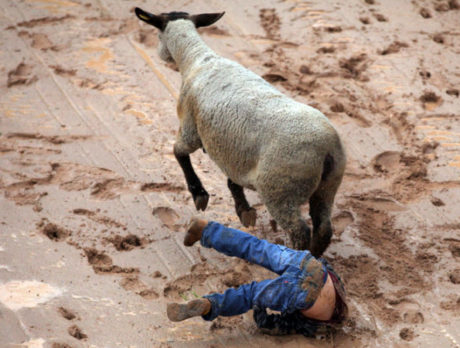 Bull Frog Bash Rodeo 2013