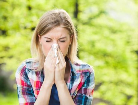 Los mejores consejos para el control de la alergia