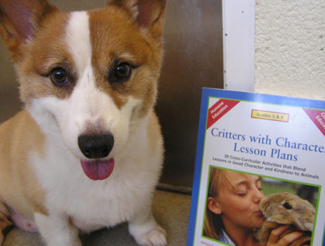 ALL PETS: Back to school shopping that helps Humane Society