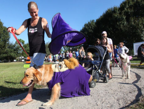Costumed canines show Halloween spirit in Dogs For Life Pawrade