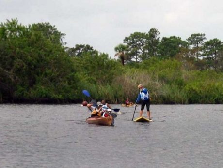 Up the River with a Paddle