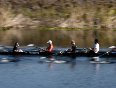Sharks aim their oars at State Championships