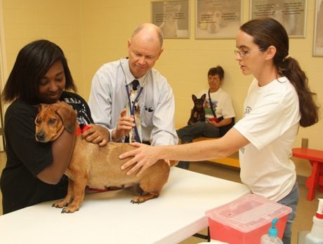 200 dogs, cats receive free rabies vaccine on World Rabies Day