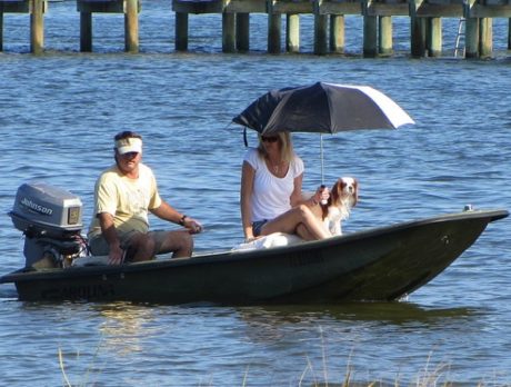 Coming ashore in Sebastian