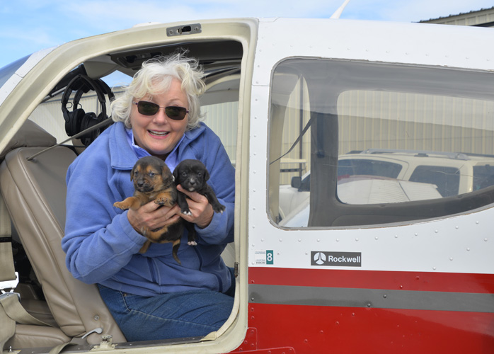 Bonz meets cool Codie, a rescue that rescues others