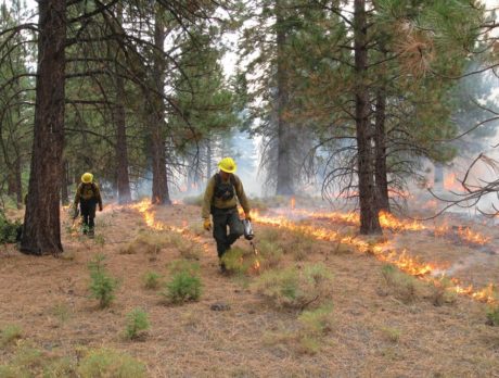 2,500-acre prescribed burn set for Monday at state park
