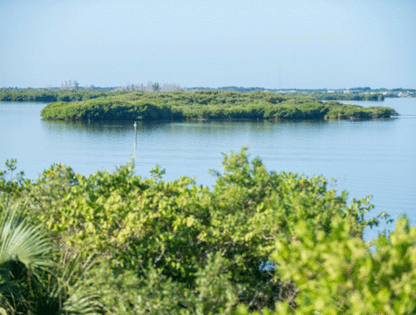 Pelican Island Wildlife Refuge remains open despite federal shutdown