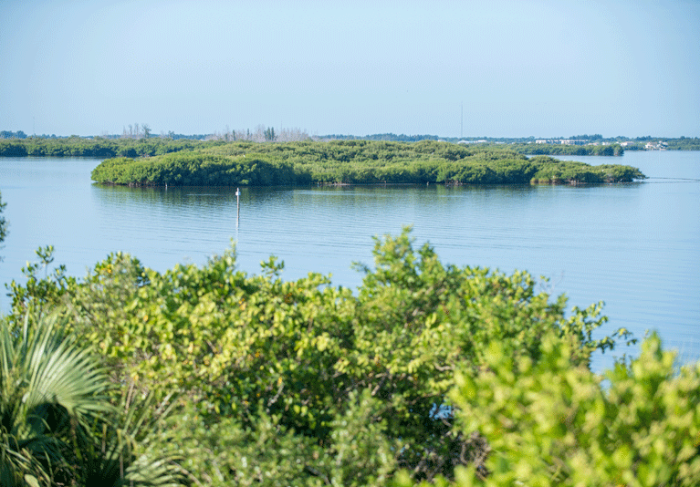 Pelican Island Wildlife Refuge remains open despite federal shutdown