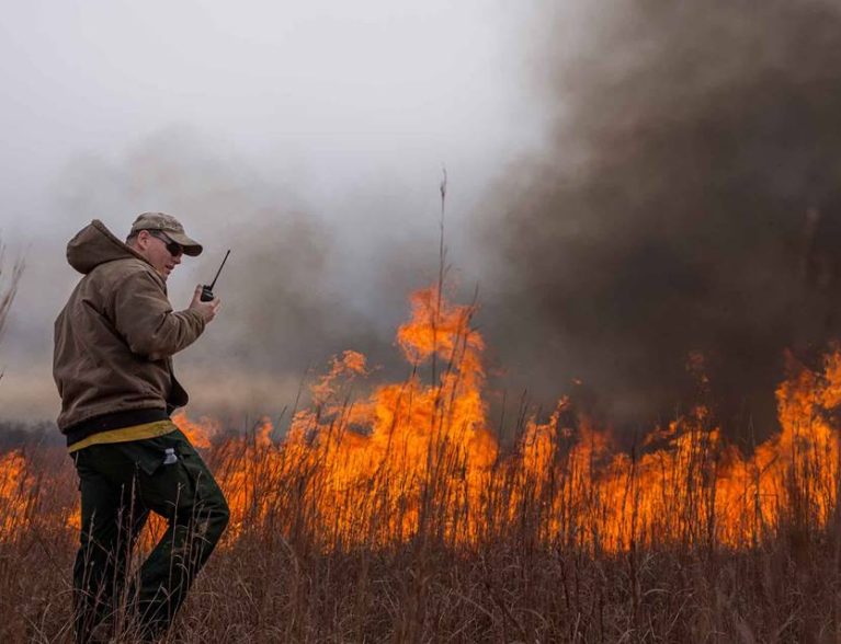 Prescribed burn planned near Fellsmere