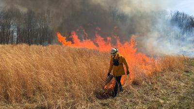 Another prescribed burn planned at state park