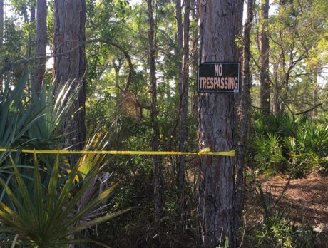 Possible homicide after body found in Fellsmere