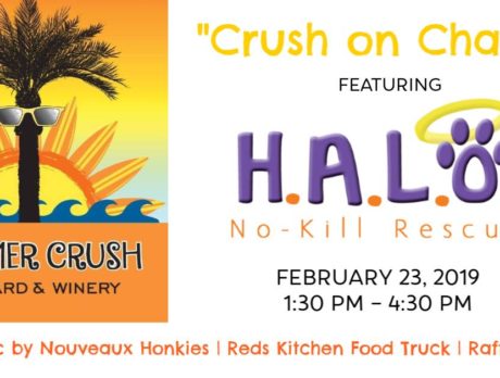 Crush on Charity featuring HALO No-Kill Rescue